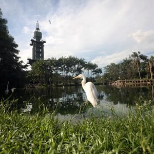 Pontos turísticos com horários  exclusivos na semana de eventos Pré-Cop