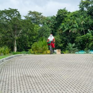 Parque do Utinga terá programação natalina gratuita no sábado