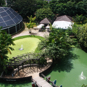 Mangal das Garças estará fechado no dia 13 de novembro para evento da COP30