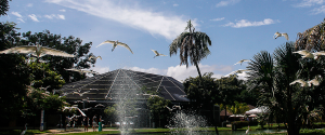 Leia mais sobre o artigo Estação, Mangal e Parque Estadual do Utinga estarão abertos no feriado de  Corpus Christi (30)