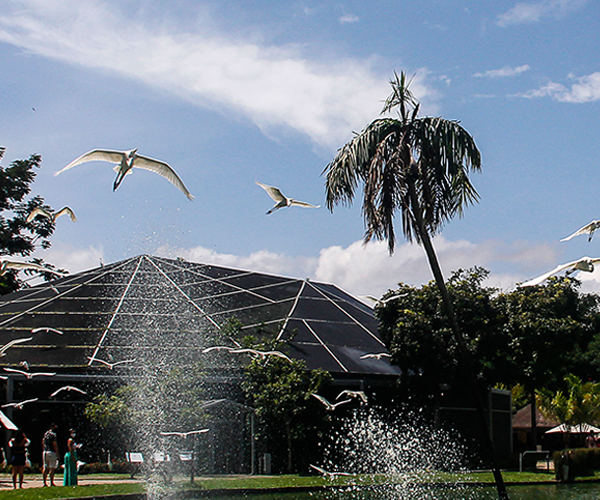 Veja funcionamento da Estação, Mangal e Parque do Utinga no feriado do Dia da Consciência Negra