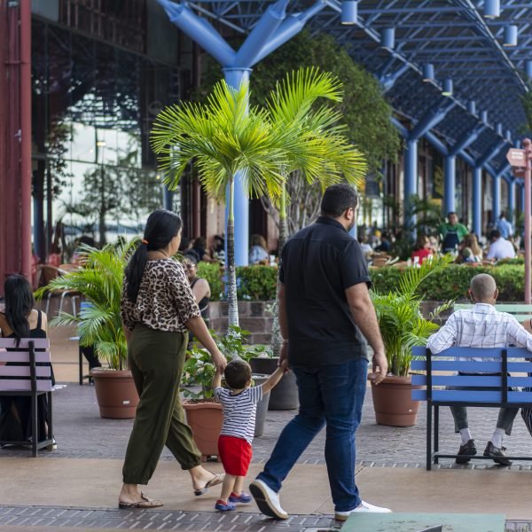 Estação, Mangal e Parque do Utinga estarão abertos no feriado de Corpus Christi