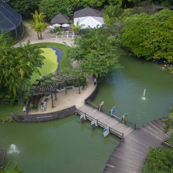 Estação, Mangal e Parque Estadual do Utinga estarão abertos no feriado de Tiradentes (21)