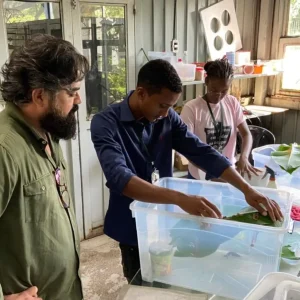 Profissionais de Luanda iniciam imersão no Mangal das Garças e fortalecem cooperação científica entre Belém e Angola