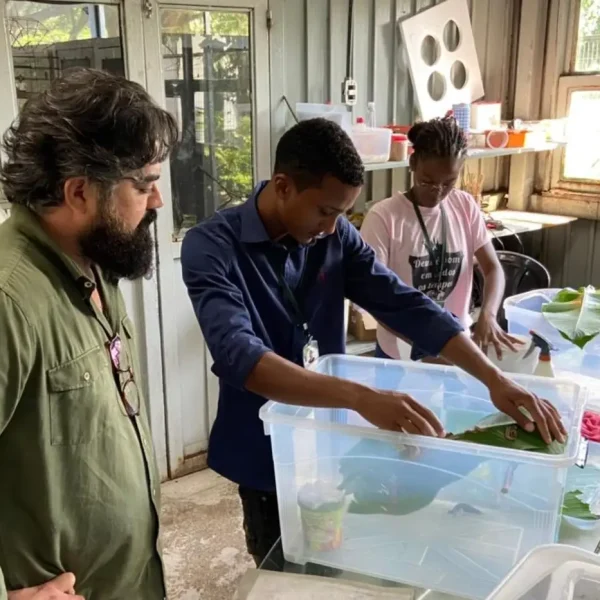 Profissionais de Luanda iniciam imersão no Mangal das Garças e fortalecem cooperação científica entre Belém e Angola