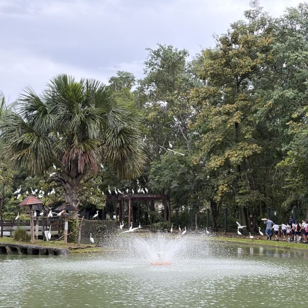 Organização Social Pará 2000 promove visita guiada no Mangal das Garças  para crianças do PROFESP reforçando compromisso com a educação ambiental 