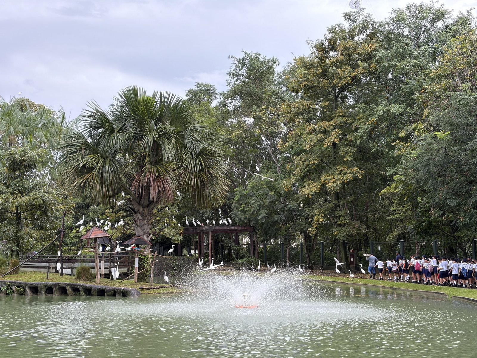No momento, você está visualizando Organização Social Pará 2000 promove visita guiada no Mangal das Garças  para crianças do PROFESP reforçando compromisso com a educação ambiental 