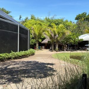 Mangal das Garças promove mais uma edição do projeto infantil, Ecoarte, neste domingo, 19 de julho