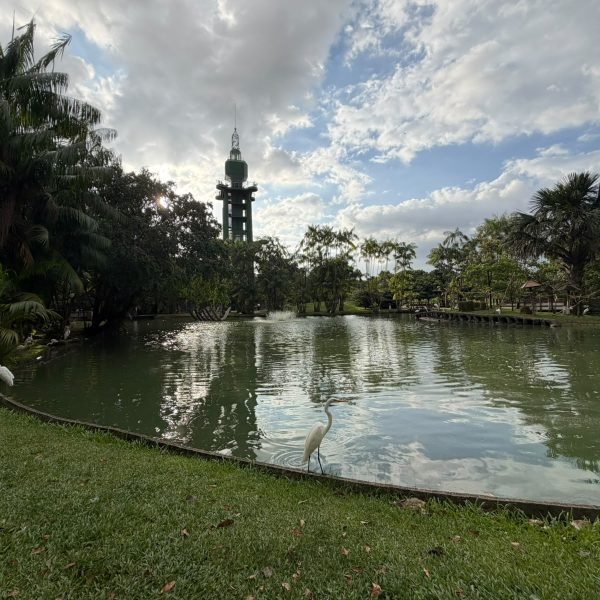 Estação das Docas, Mangal das Garças e Parque do Utinga terão horário de funcionamento especial no dia da eleição, 4 de outubro