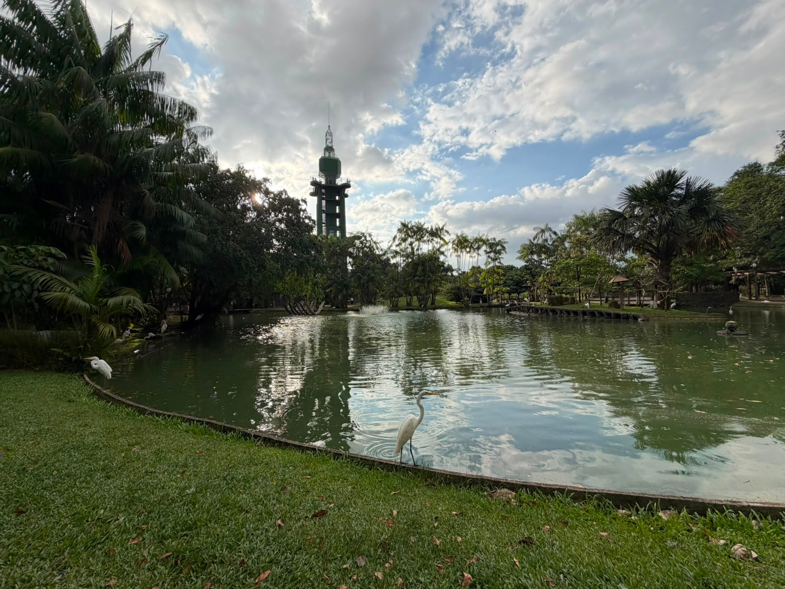 Leia mais sobre o artigo Animais do Mangal das Garças ganham enriquecimento ambiental de verão nesta sexta feira, 17 de julho